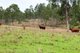 Photo - Lot 2 Esk Crows Nest Road, Biarra QLD 4313 - Image 9