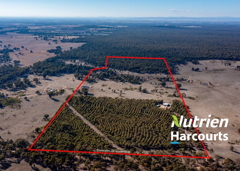 Lot 2 Forest Road, Killawarra VIC 3678