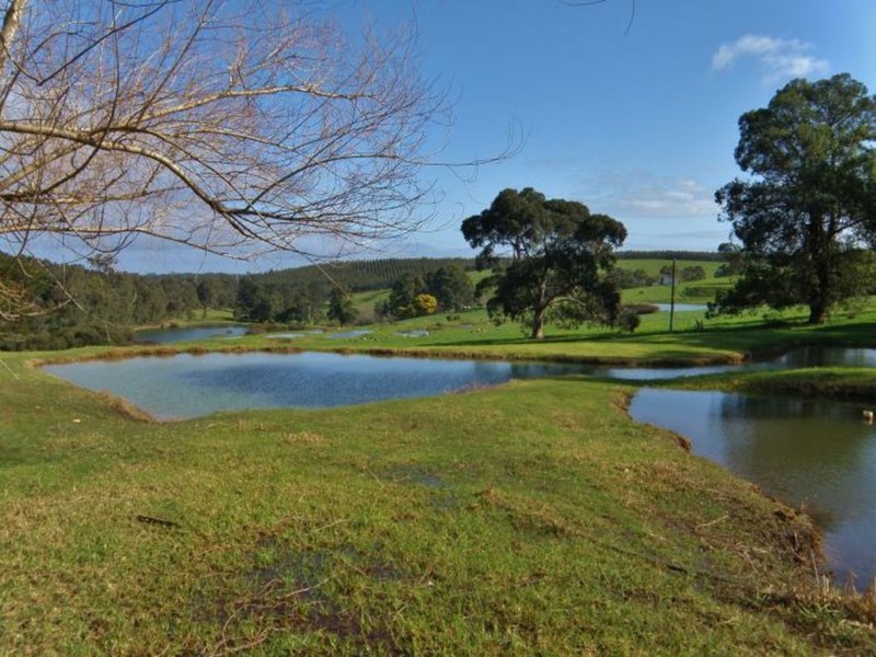 Photo - Lot 2 Gold Gully Road, Nannup WA 6275 - Image 2