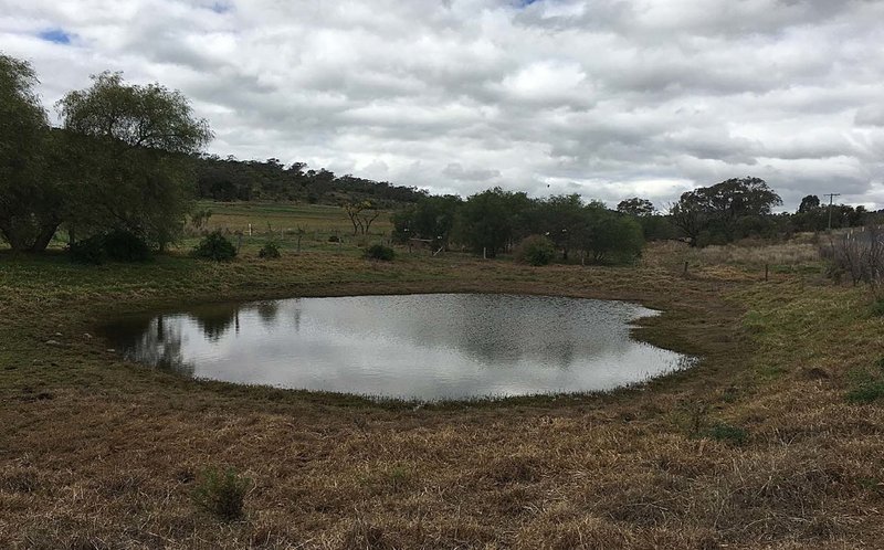 Photo - Lot 2 Gowrie Lilyvale Road, Glencoe QLD 4352 - Image 7