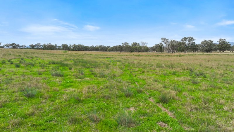 Photo - Lot 2 Hausfields Road, Duri NSW 2344 - Image 7