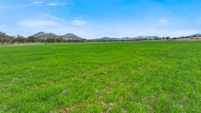 Photo - Lot 2 Hausfields Road, Duri NSW 2344 - Image 8