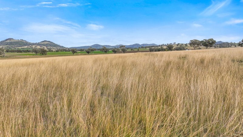 Photo - Lot 2 Hausfields Road, Duri NSW 2344 - Image 9