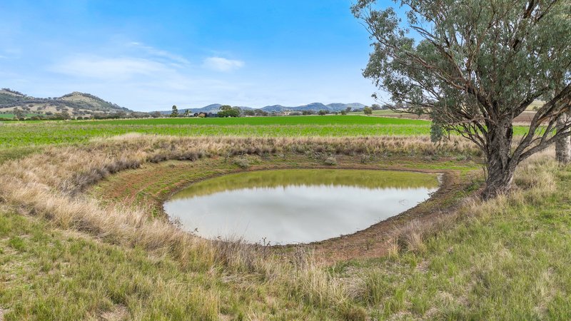 Photo - Lot 2 Hausfields Road, Duri NSW 2344 - Image 12