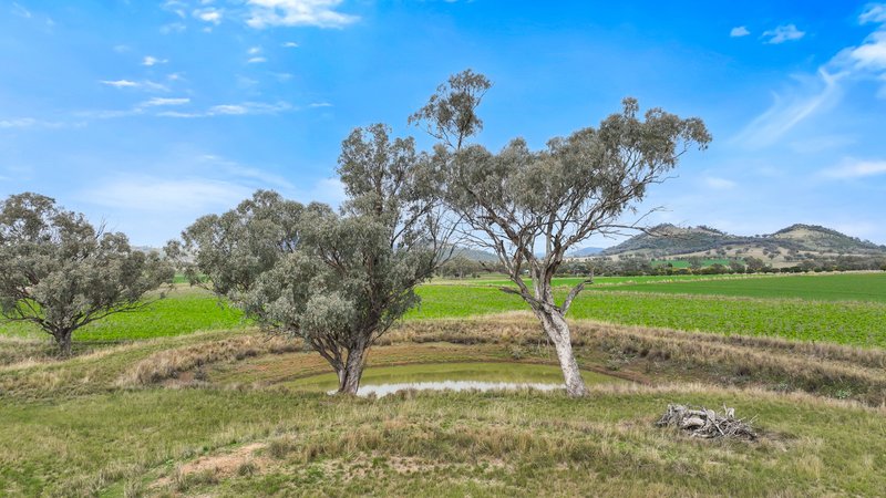 Photo - Lot 2 Hausfields Road, Duri NSW 2344 - Image 13