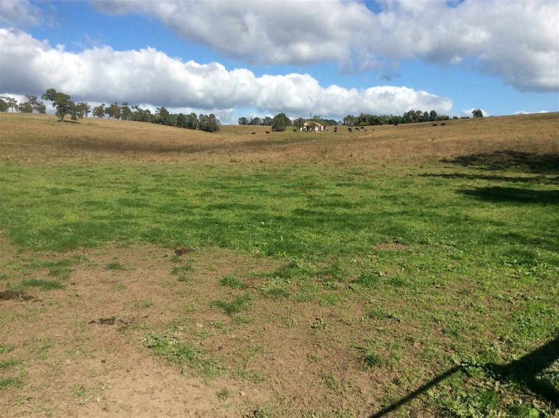 Photo - Lot 2 Lawless Road, Churchill VIC 3842 - Image 3