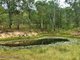 Photo - Lot 2 Lawsons Broad Road, Coverty QLD 4613 - Image 2