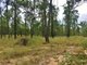 Photo - Lot 2 Lawsons Broad Road, Coverty QLD 4613 - Image 3