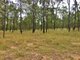 Photo - Lot 2 Lawsons Broad Road, Coverty QLD 4613 - Image 4