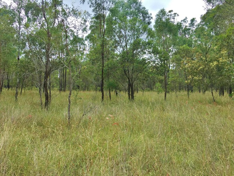 Photo - Lot 2 Lawsons Broad Road, Coverty QLD 4613 - Image 6