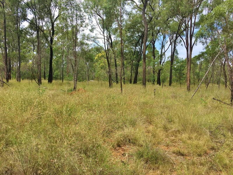 Photo - Lot 2 Lawsons Broad Road, Coverty QLD 4613 - Image 7