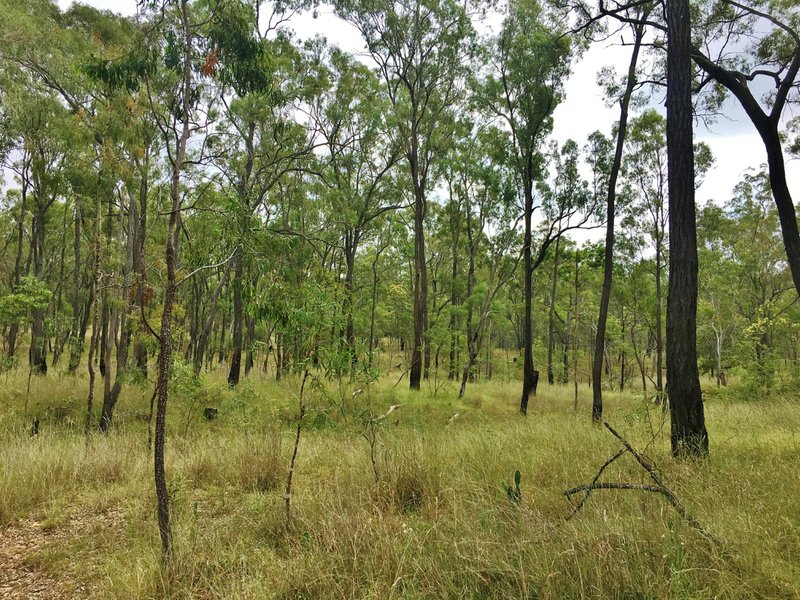 Photo - Lot 2 Lawsons Broad Road, Coverty QLD 4613 - Image 8