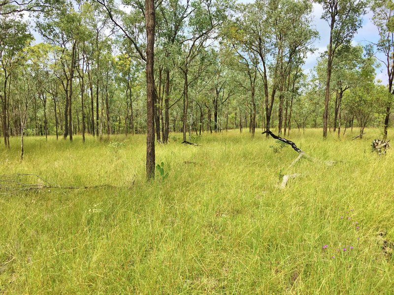 Photo - Lot 2 Lawsons Broad Road, Coverty QLD 4613 - Image 9