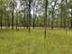 Photo - Lot 2 Lawsons Broad Road, Coverty QLD 4613 - Image 10