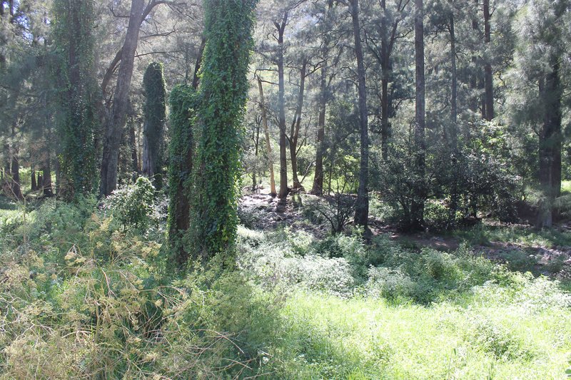 Lot 2 Majors Creek Mountain Road, Araluen NSW 2622