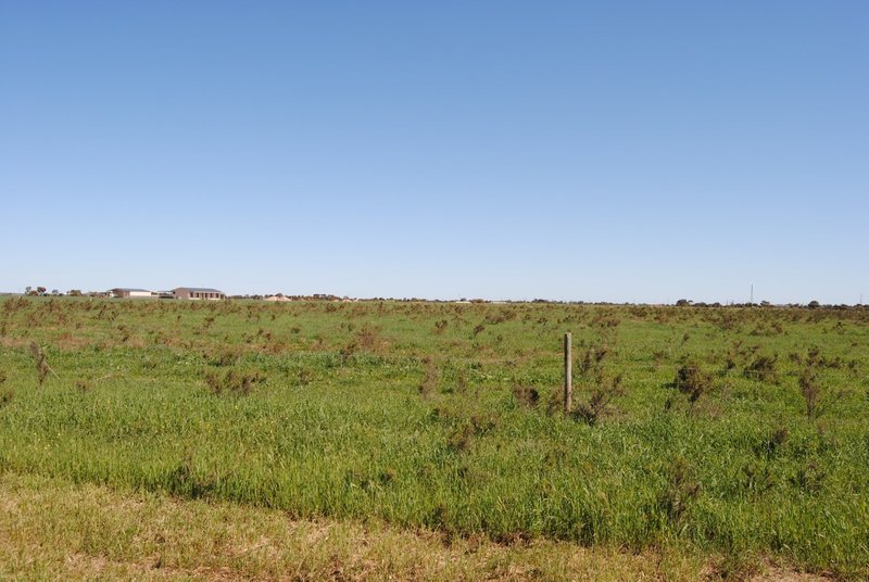 Photo - Lot 2 Martin Terrace, Kadina SA 5554 - Image 5