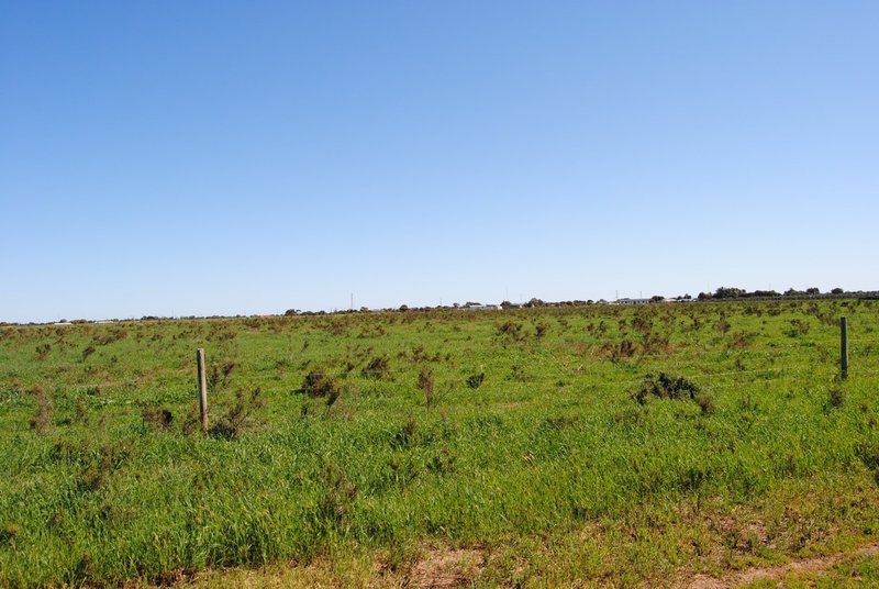 Photo - Lot 2 Martin Terrace, Kadina SA 5554 - Image 7