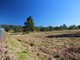 Photo - Lot 2 Moran Cres Crescent, Curra QLD 4570 - Image 2