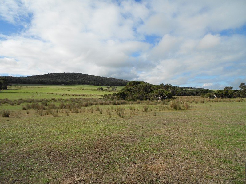 Photo - Lot 2 Mount Richard Road, Kalgan WA 6330 - Image 7