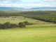 Photo - Lot 2 Mount Richard Road, Kalgan WA 6330 - Image 10