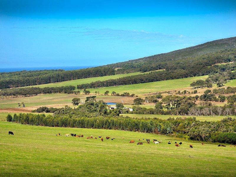 Photo - Lot 2 Mount Richard Road, Kalgan WA 6330 - Image 12