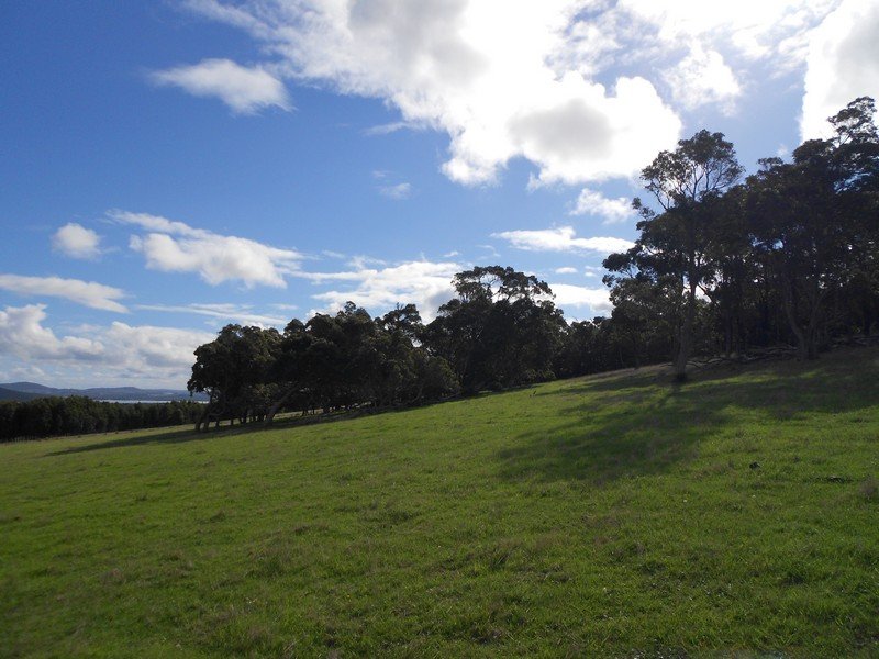 Photo - Lot 2 Mount Richard Road, Kalgan WA 6330 - Image 14