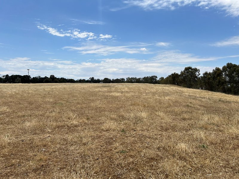 Photo - Lot 2 Natimuk-Hamilton Road, Toolondo VIC 3401 - Image 10