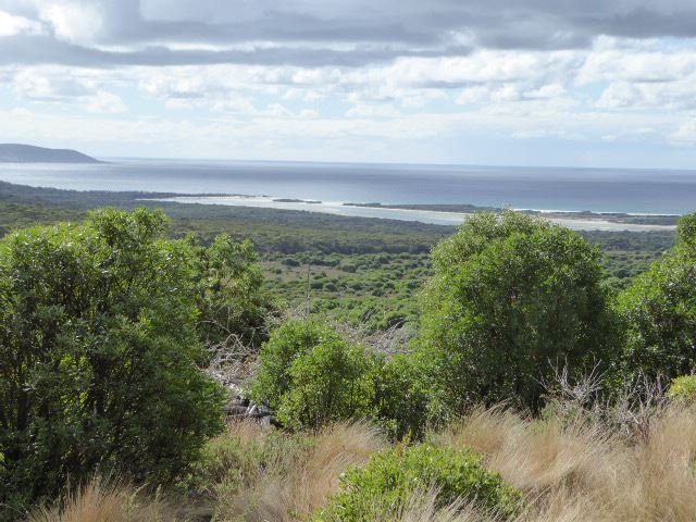 Photo - Lot 2 North East River Road, Palana TAS 7255 - Image 4