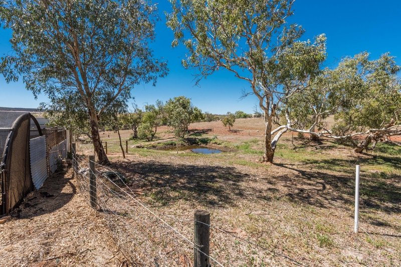 Photo - Lot 2 North West Coastal Highway, Isseka WA 6535 - Image 17