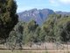 Photo - Lot 2 Northern Grampians Road, Wartook VIC 3401 - Image 2