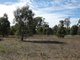 Photo - Lot 2 Northern Grampians Road, Wartook VIC 3401 - Image 4