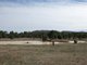 Photo - Lot 2 Northern Grampians Road, Wartook VIC 3401 - Image 6