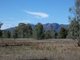 Photo - Lot 2 Northern Grampians Road, Wartook VIC 3401 - Image 7