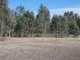 Photo - Lot 2 Northern Grampians Road, Wartook VIC 3401 - Image 12