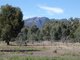 Photo - Lot 2 Northern Grampians Road, Wartook VIC 3401 - Image 14