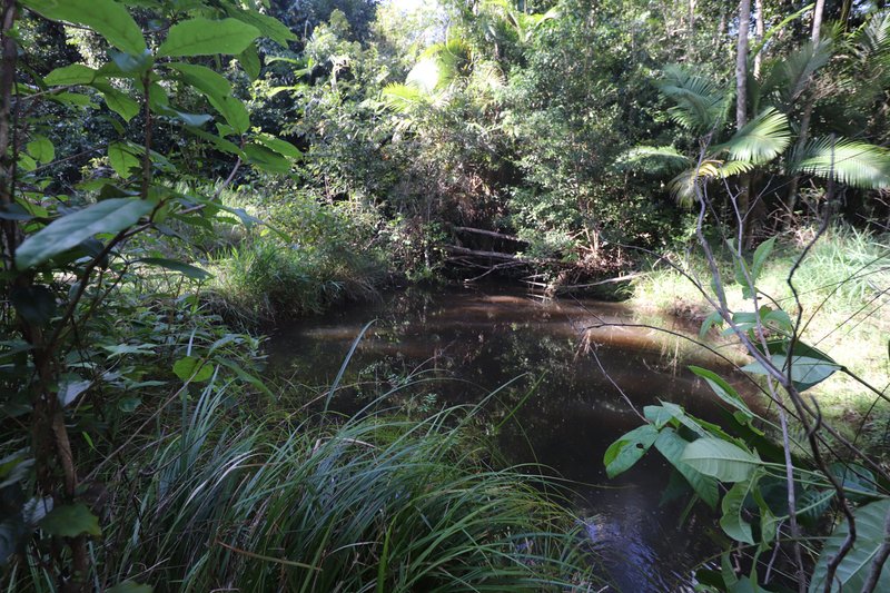 Photo - Lot 2 Oak Hills Road, Valley Of Lagoons QLD 4850 - Image 3