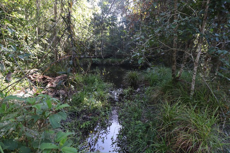 Photo - Lot 2 Oak Hills Road, Valley Of Lagoons QLD 4850 - Image 8