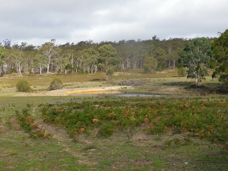 Photo - Lot 2 Oallen Ford Road, Windellama NSW 2580 - Image 2