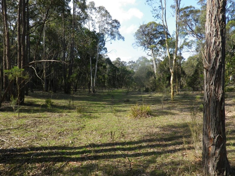 Photo - Lot 2 Oallen Ford Road, Windellama NSW 2580 - Image 5