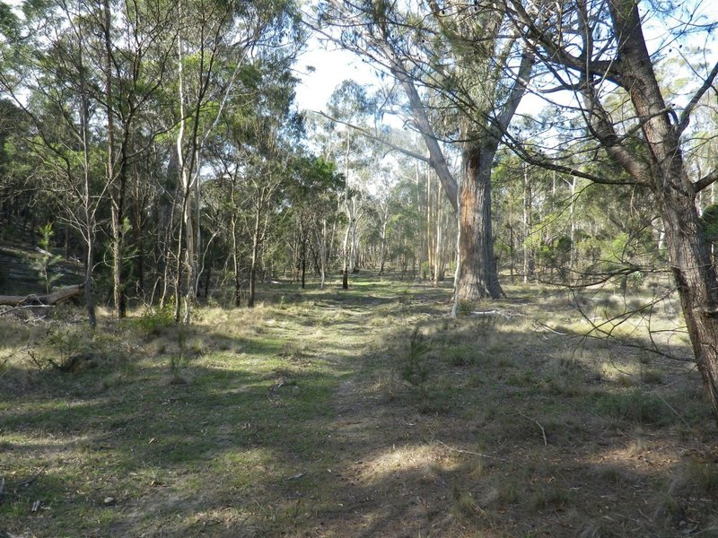 Photo - Lot 2 Oallen Ford Road, Windellama NSW 2580 - Image 9