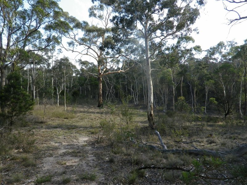 Photo - Lot 2 Oallen Ford Road, Windellama NSW 2580 - Image 10