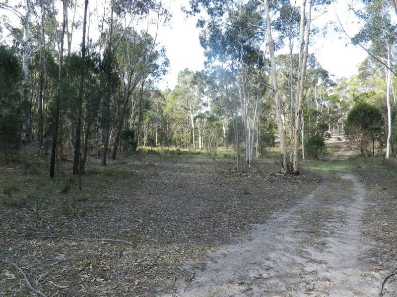 Photo - Lot 2 Oallen Ford Road, Windellama NSW 2580 - Image 12