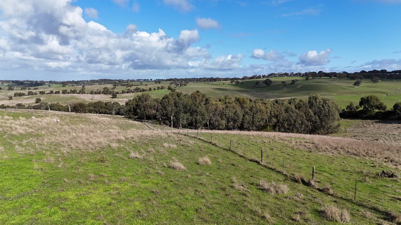 Photo - Lot 2 Old Bull Creek Road, Strathalbyn SA 5255 - Image 2