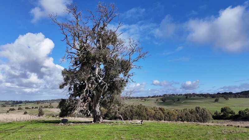 Photo - Lot 2 Old Bull Creek Road, Strathalbyn SA 5255 - Image 3