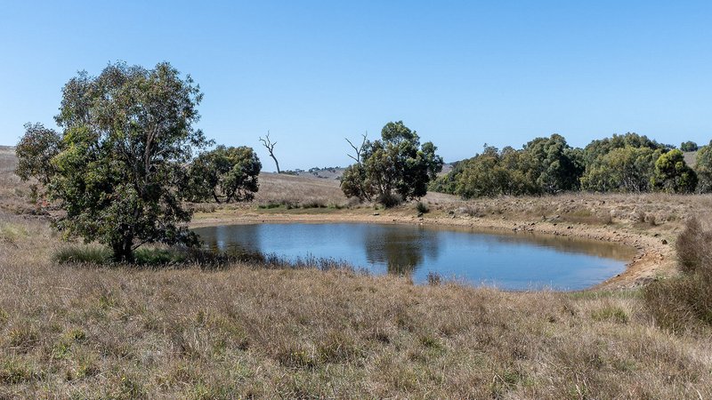 Photo - Lot 2 Old Bull Creek Road, Strathalbyn SA 5255 - Image 6