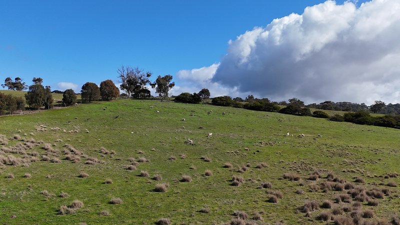 Photo - Lot 2 Old Bull Creek Road, Strathalbyn SA 5255 - Image 10