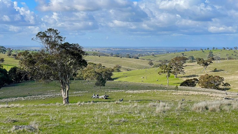 Photo - Lot 2 Old Bull Creek Road, Strathalbyn SA 5255 - Image 15