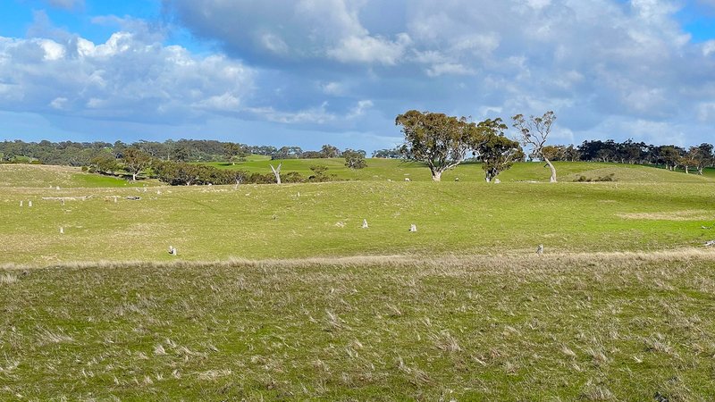 Photo - Lot 2 Old Bull Creek Road, Strathalbyn SA 5255 - Image 16