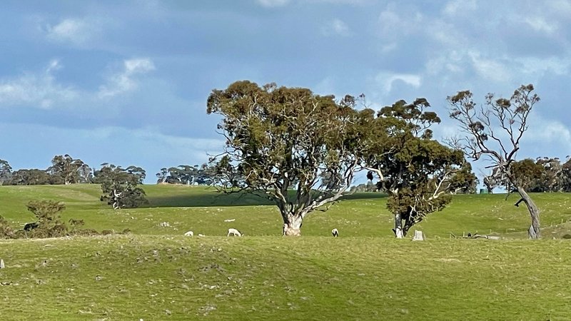 Photo - Lot 2 Old Bull Creek Road, Strathalbyn SA 5255 - Image 17