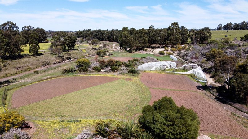 Photo - Lot 2 Old Ford Rd , Dalyup WA 6450 - Image 8